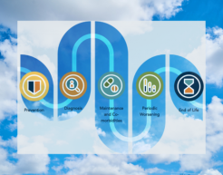 Woman filling out a survey online