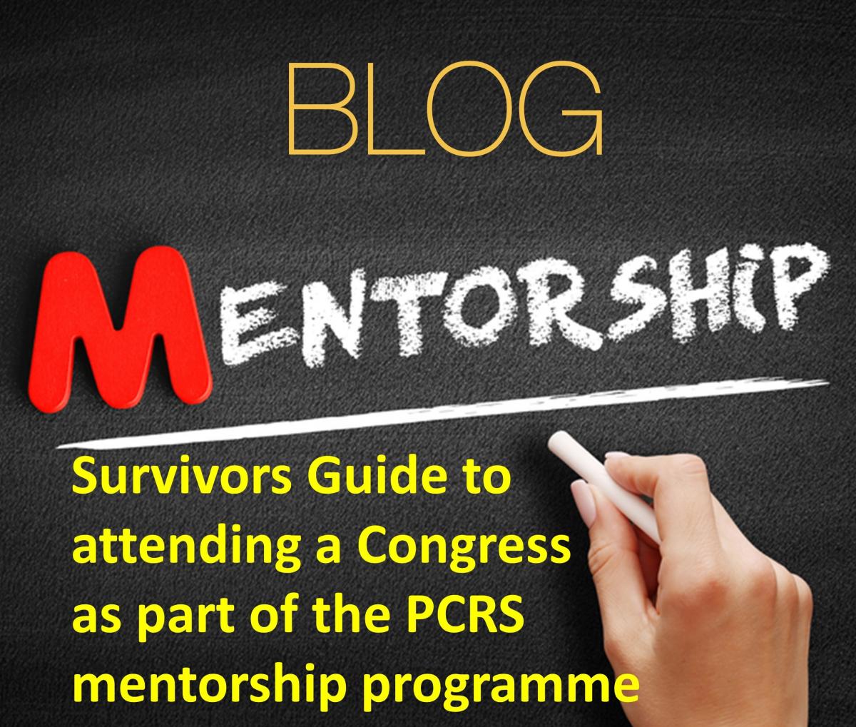 Mentorship Blog Participant experience 1