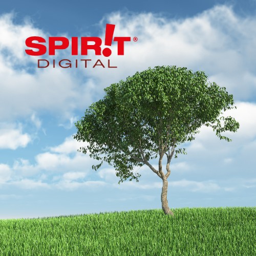 Spirit Digital Report